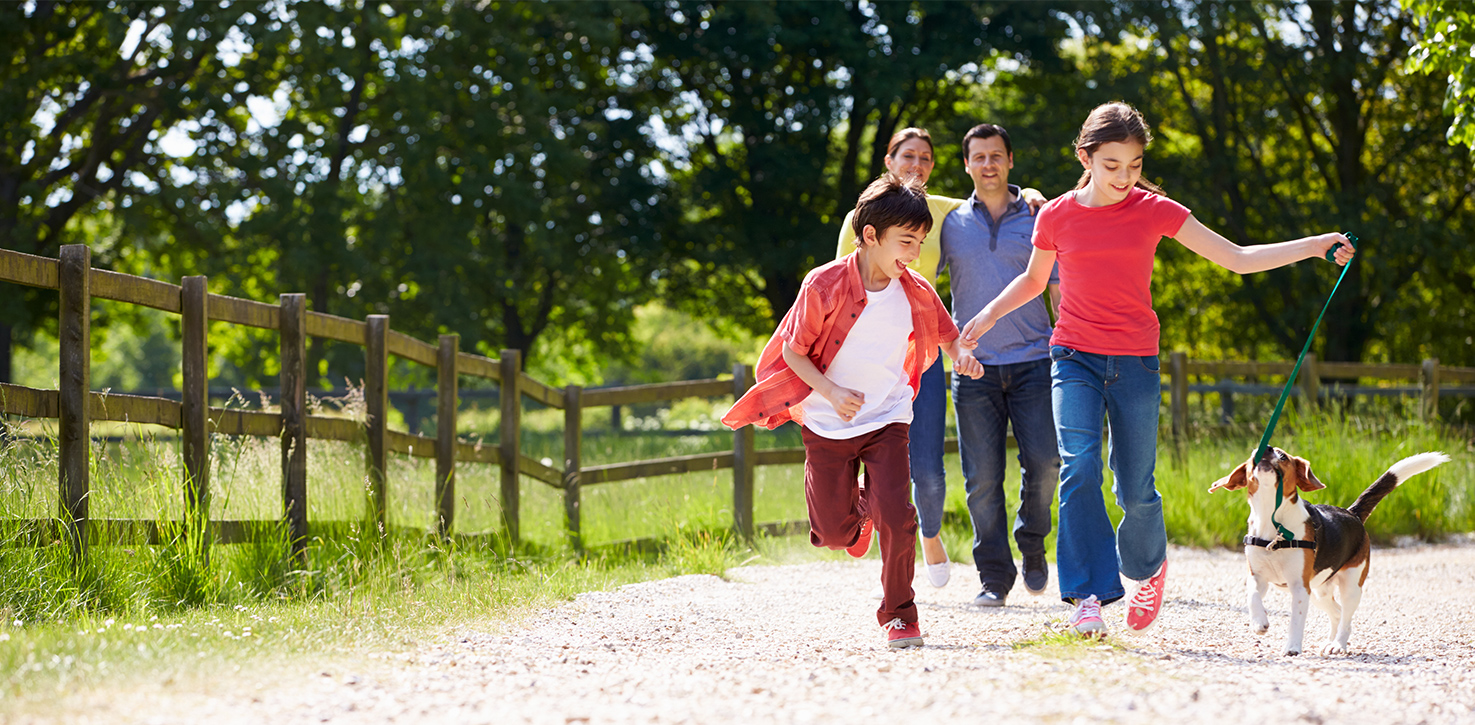 Kids playing with dog