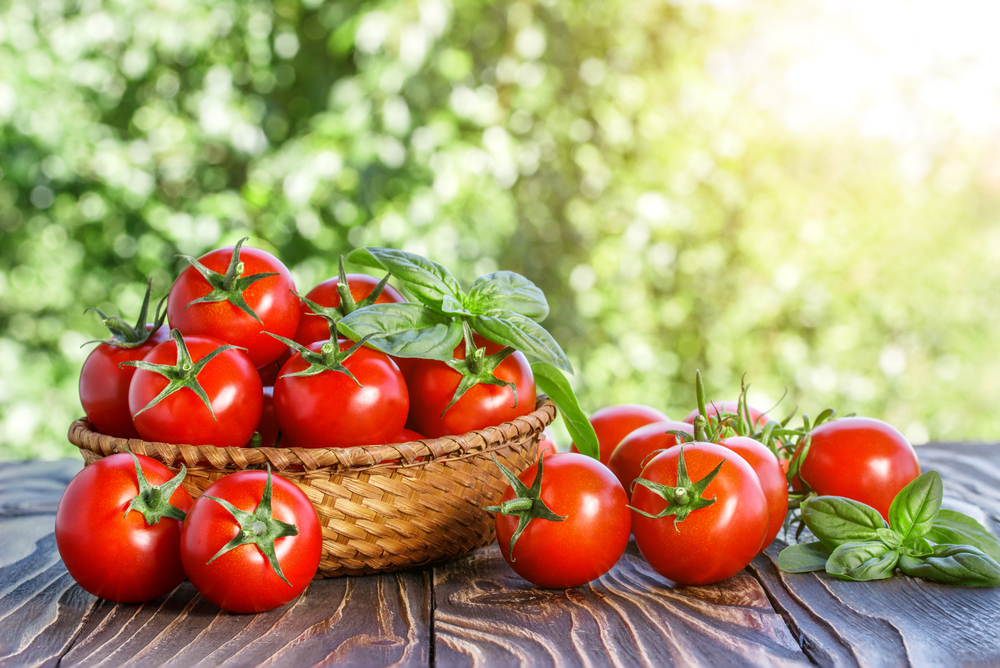 tomatoes