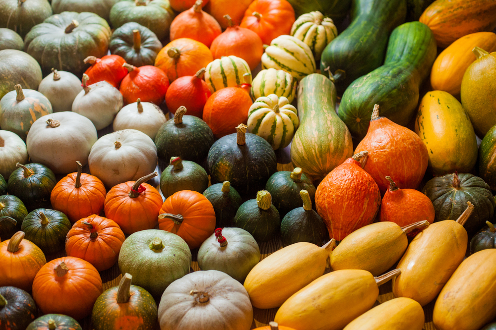 winter-squash