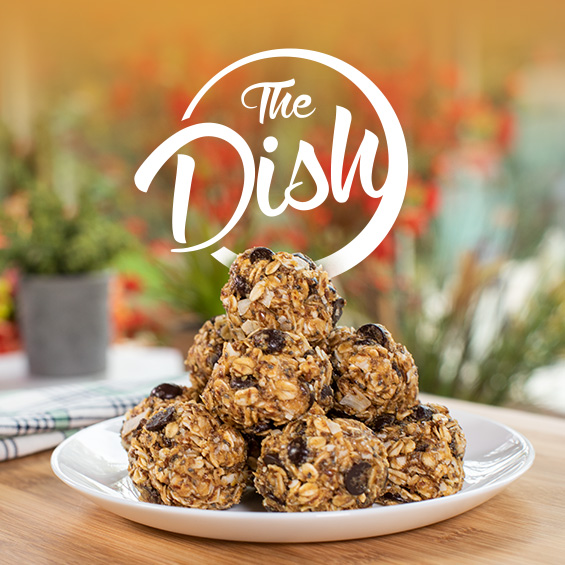 No-Bake Oatmeal Energy Bites