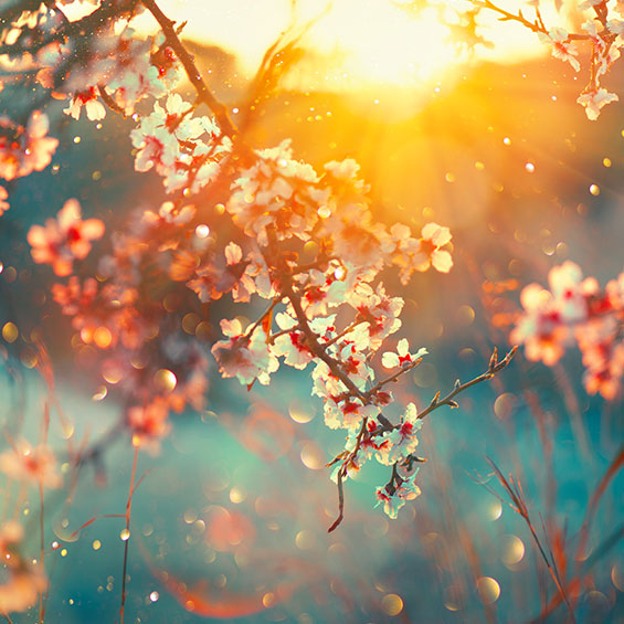 Why Spring is the New January