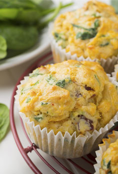 egg muffins