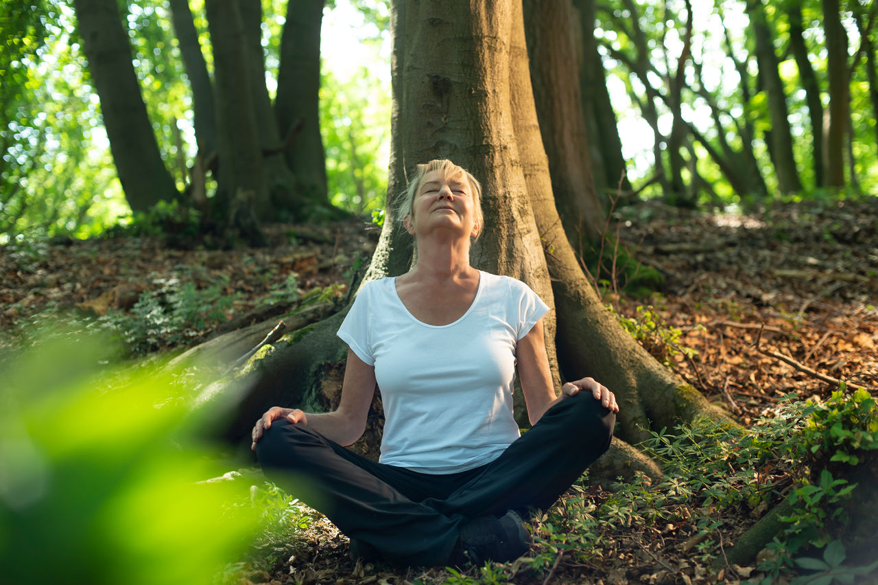 Meditation in forest