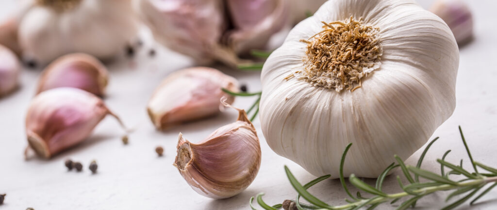 garlic-bulbs-image